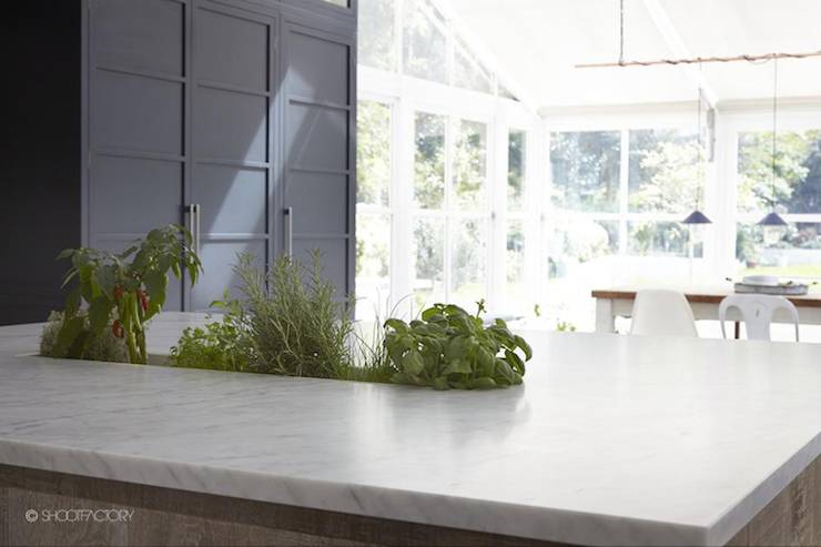 island with integrated herb garden in kitchen