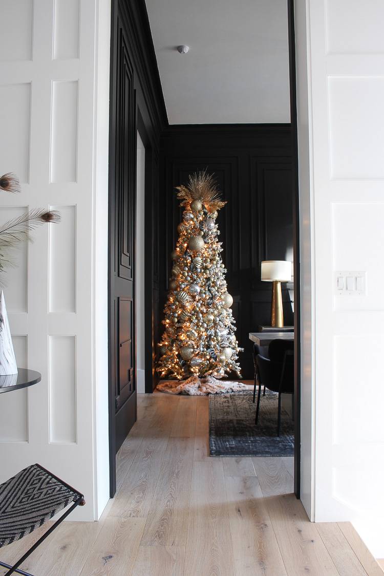 Christmas tree in front of a black wall