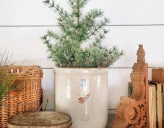 7 Easy Ways to Transition Your Decor From Fall to Winter