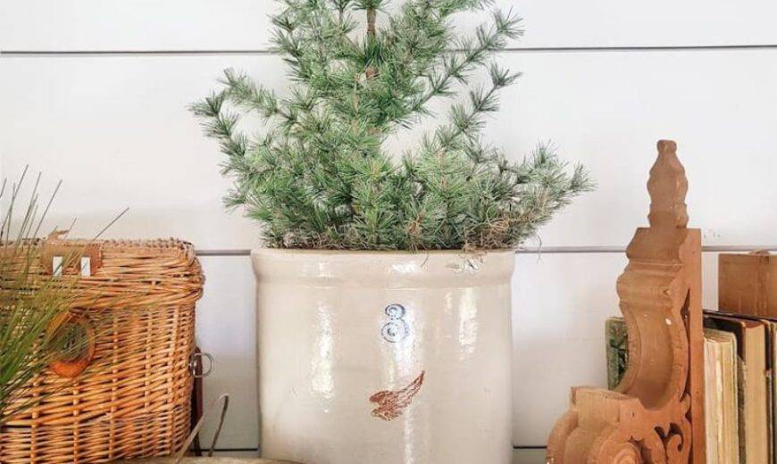 7 Easy Ways to Transition Your Decor From Fall to Winter