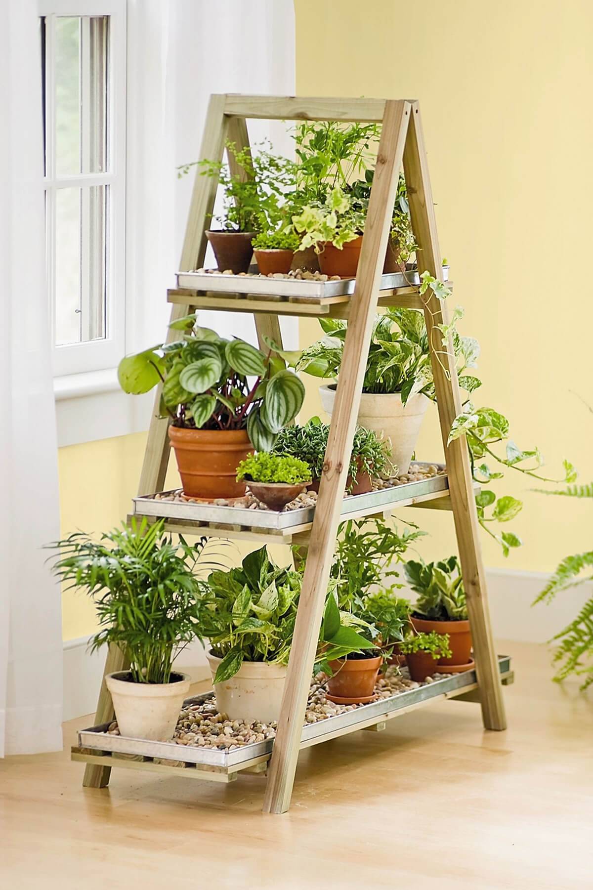 a frame shelf with herb garden