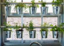hanging herb garden in kitchen window in galvanized pots