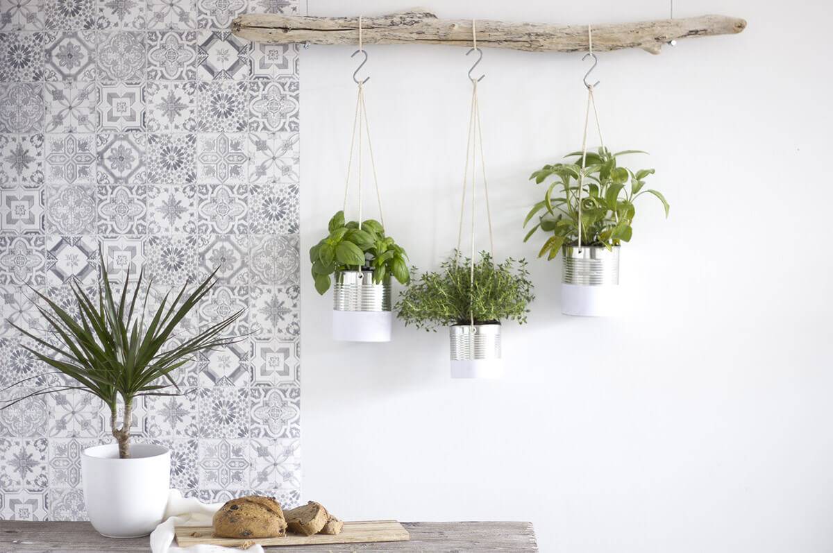 hanging herb garden on driftwood in kitchen