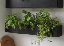 floating black shelves in kitchen with herbs