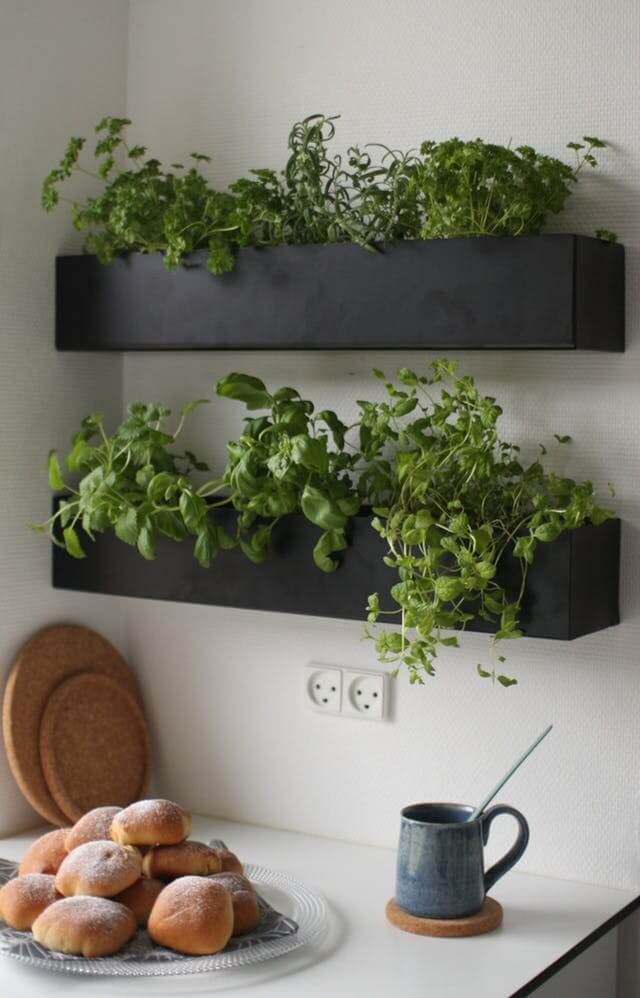 floating black shelves in kitchen with herbs