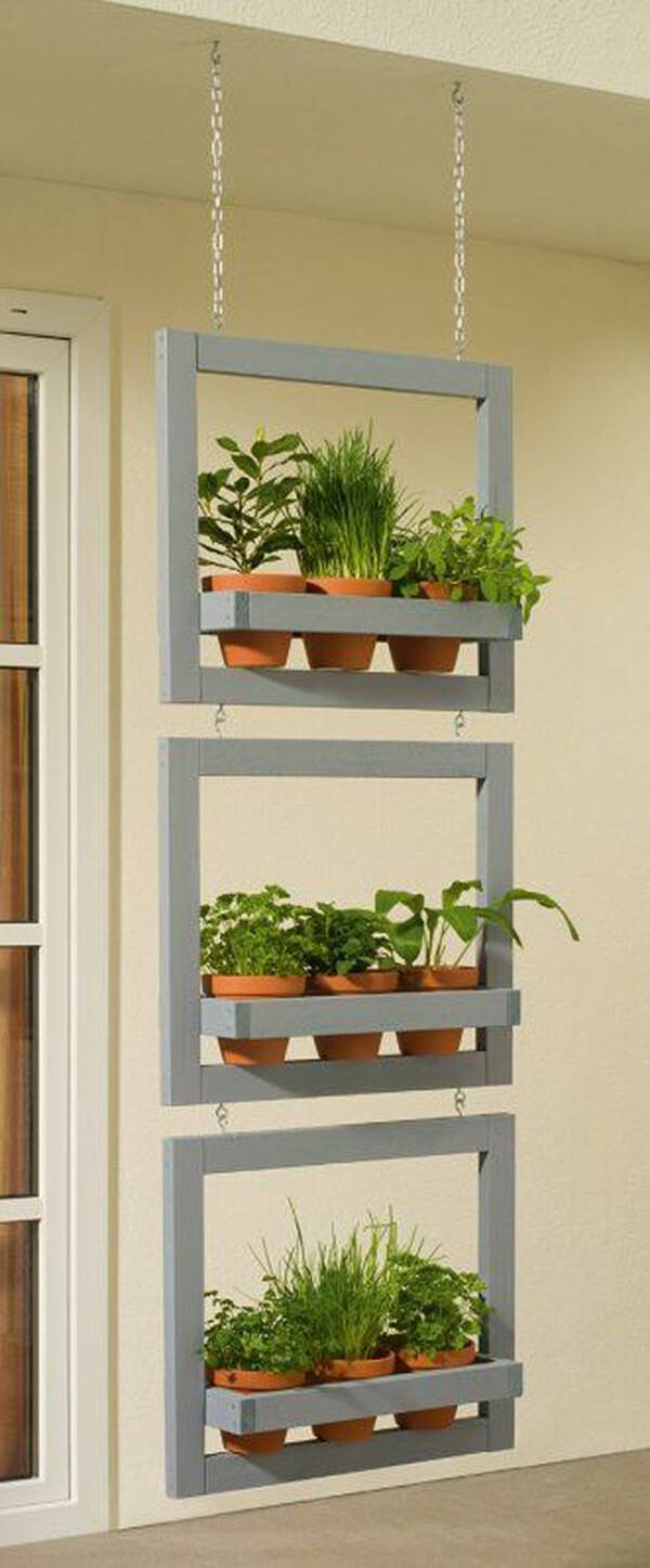 hanging frames with potted terracotta plants potted herbs