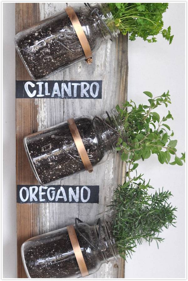 Mounted mason jars herb containers on rustic wood