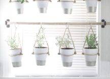 hanging pots in kitchen window vertical garden