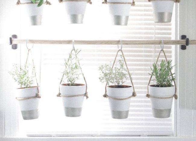 8 Simple Ways To Create An Indoor Vertical Garden In Your Home