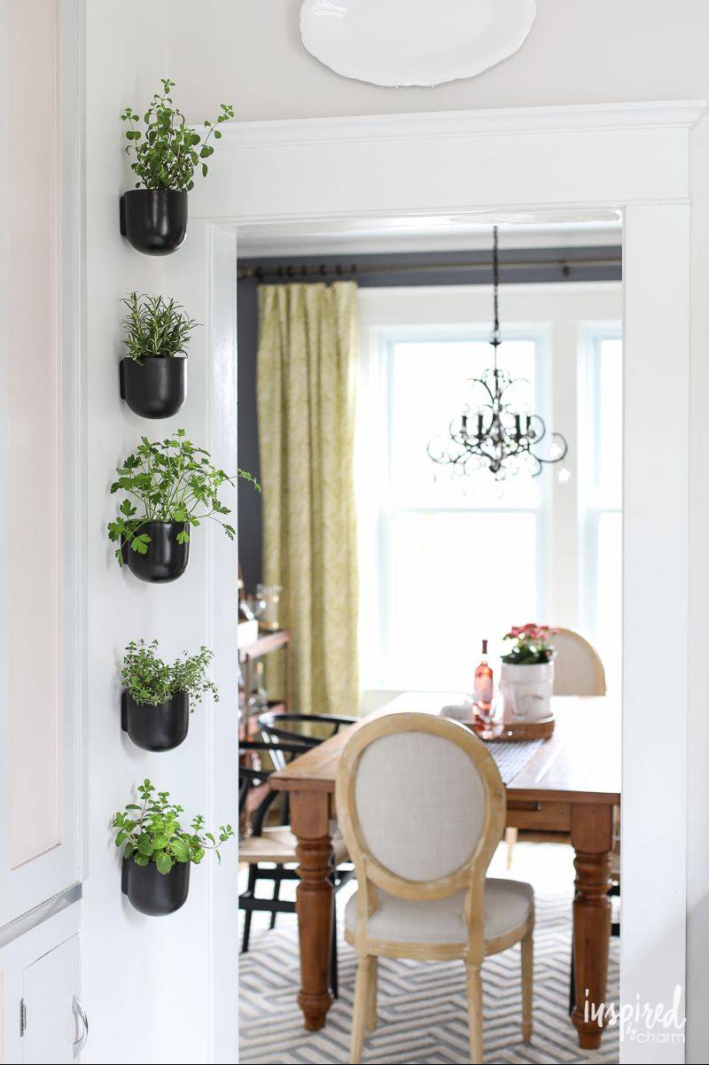 hanging black herb pots in kitchen