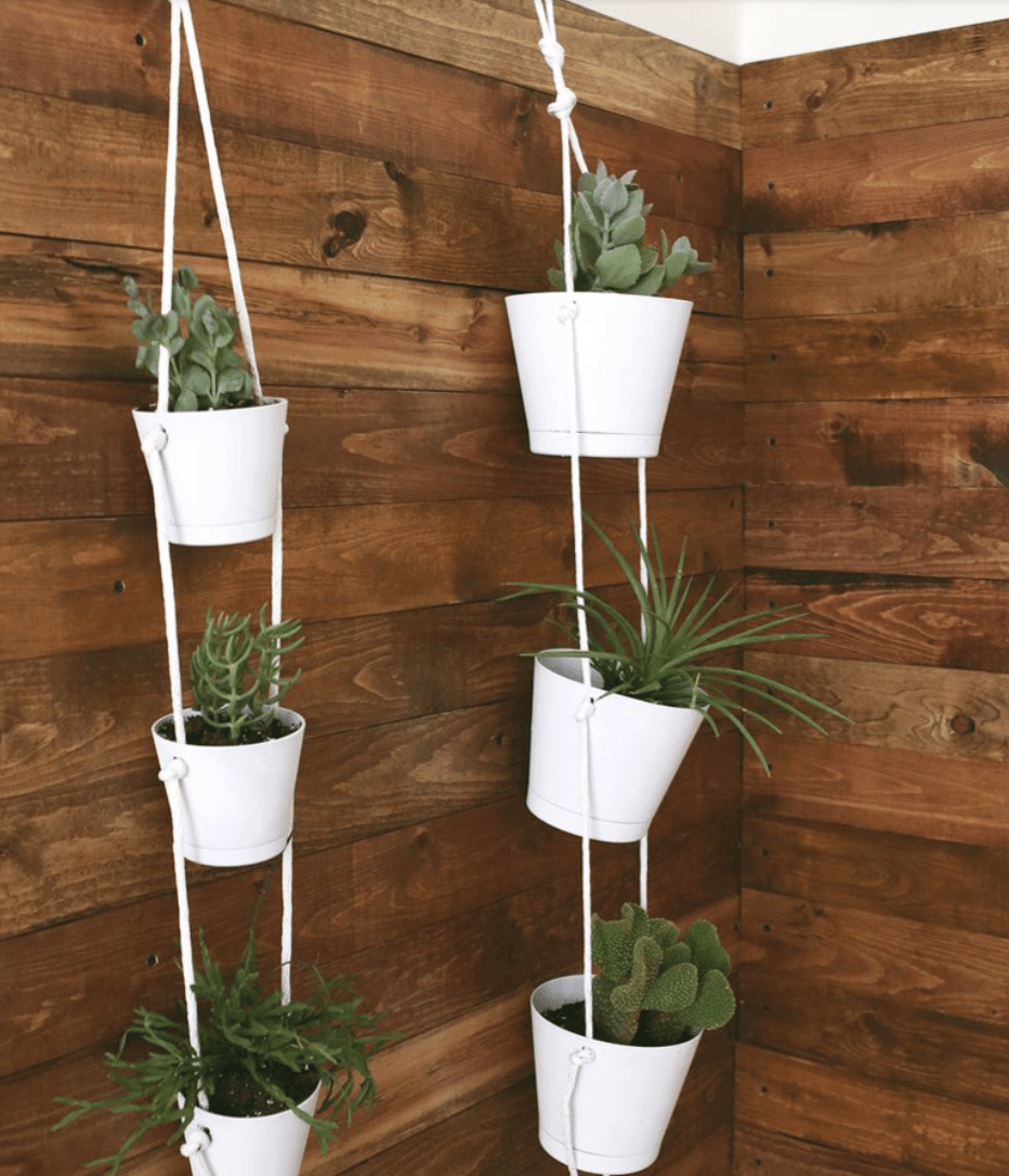 hanging white garden pots on wood wall