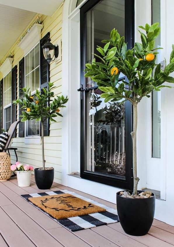 lemon trees framing entrance way on front porch with black door