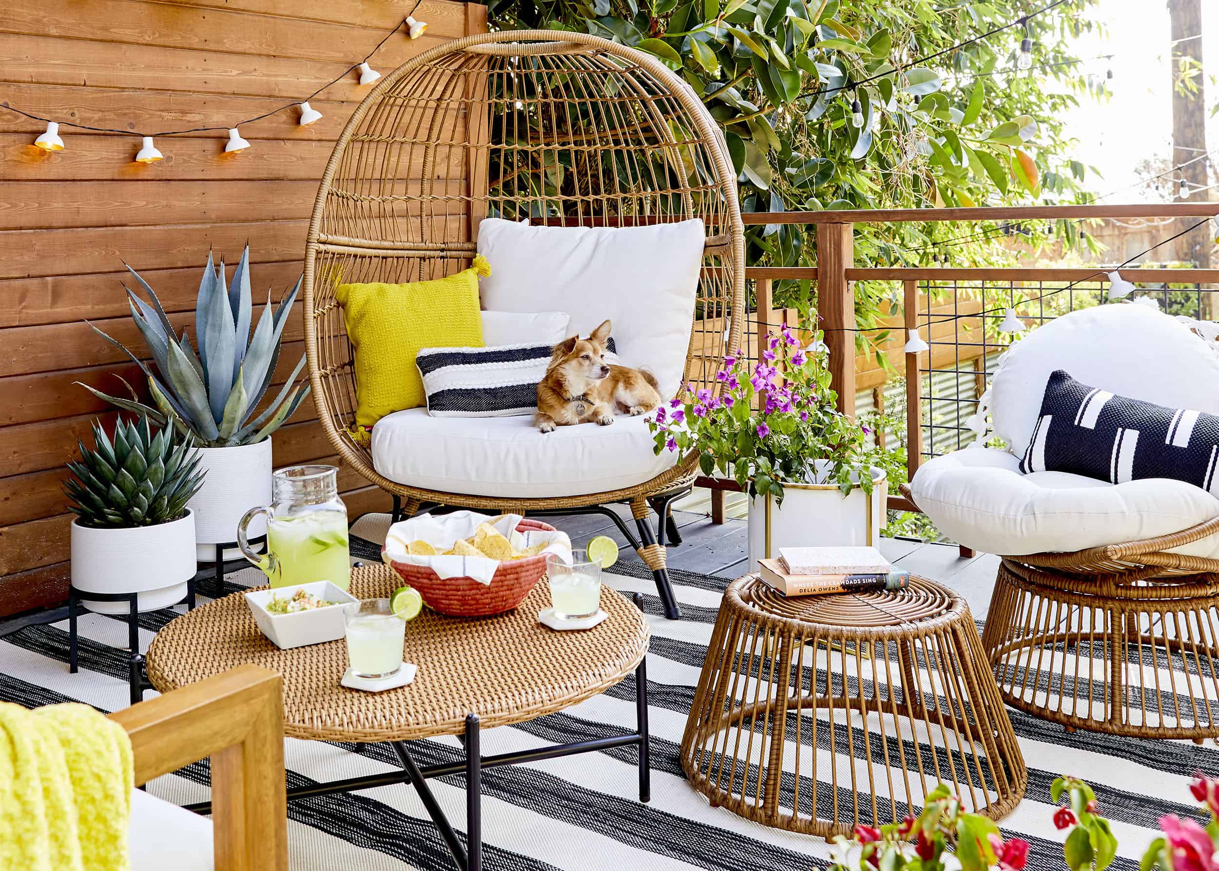 outdoor patio with wooden baskets for seating, basket chair with corgi seated on it and brightly colored decorations