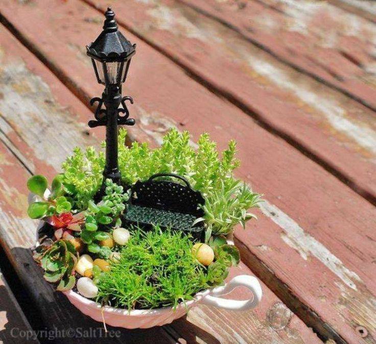 tiny tea cup fairy garden