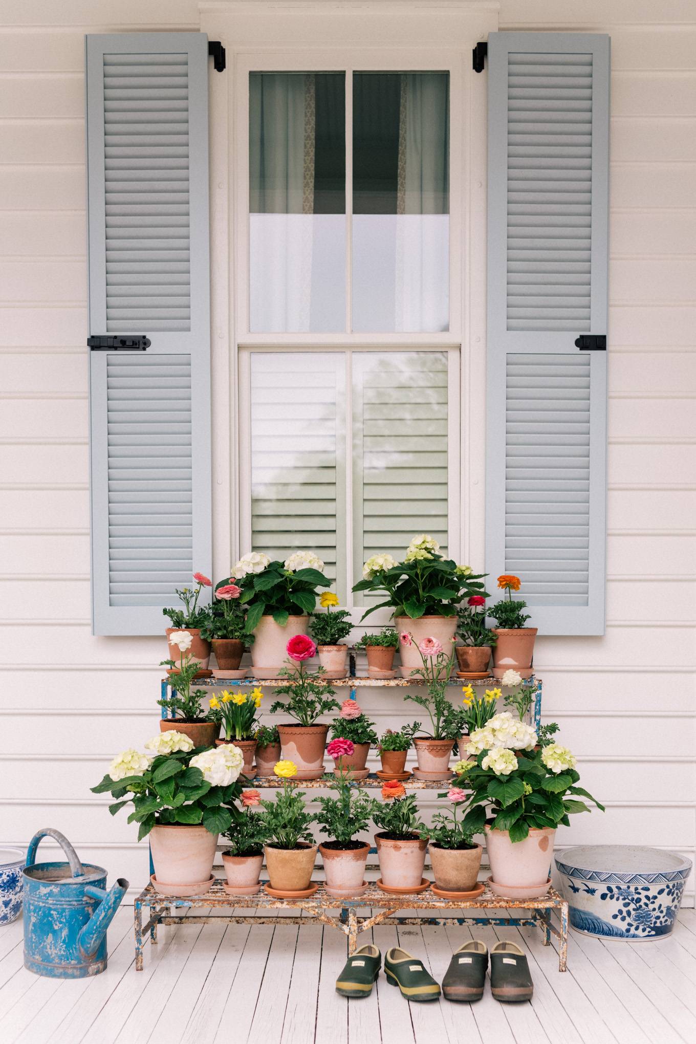display of a dozen potted plants on front porch next to white window with blue shutters