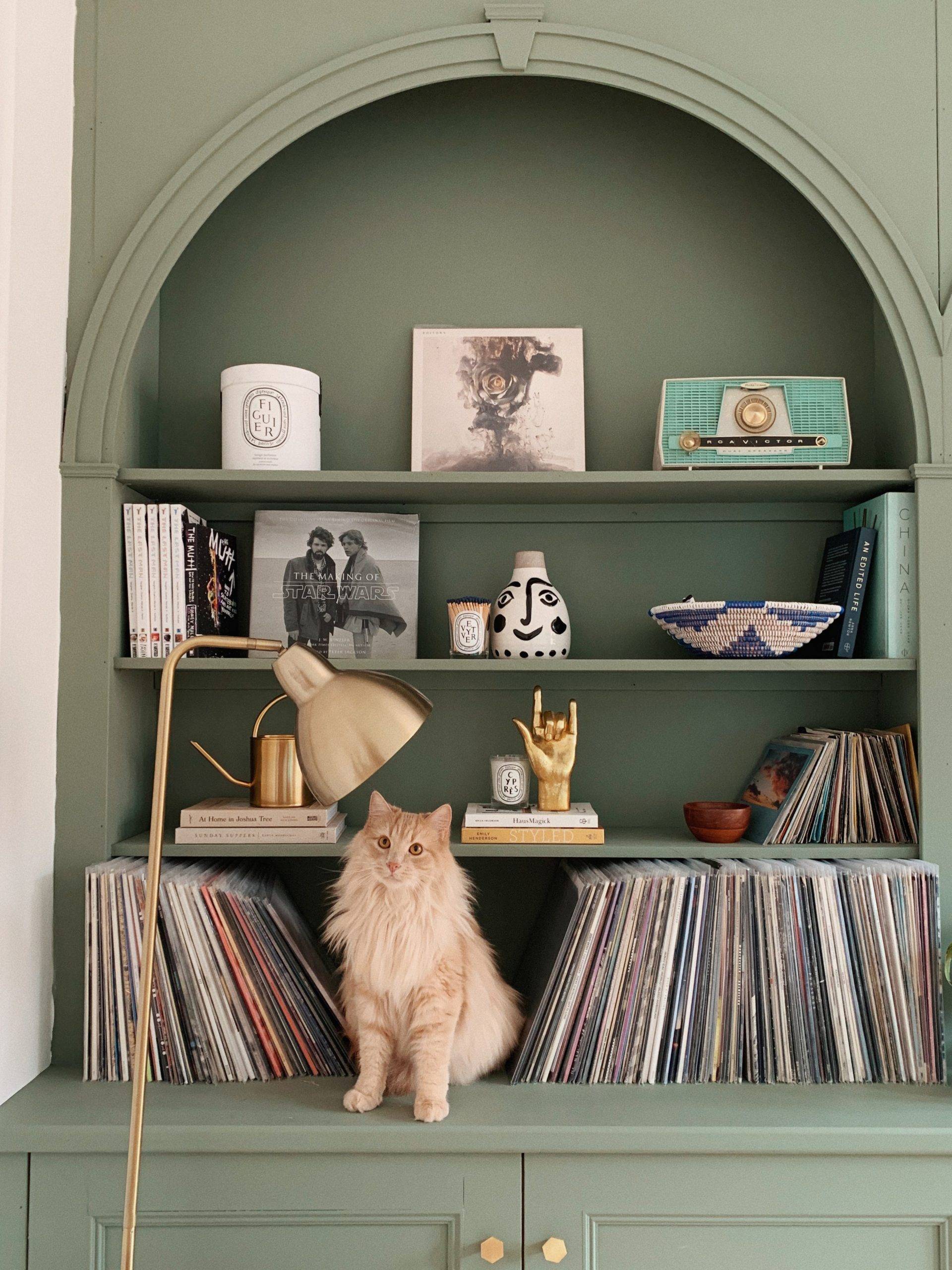 styled bookshelves