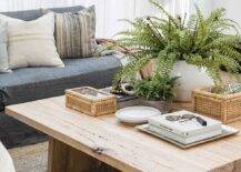 A potted fern sits on a salvaged wood coffee table placed on a light brown jute rug in front of a charcoal gray sectional topped with white and gray pillows.