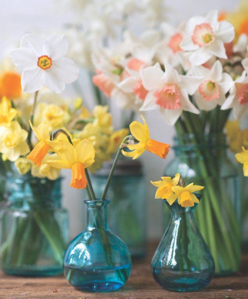 spring flower arrangement