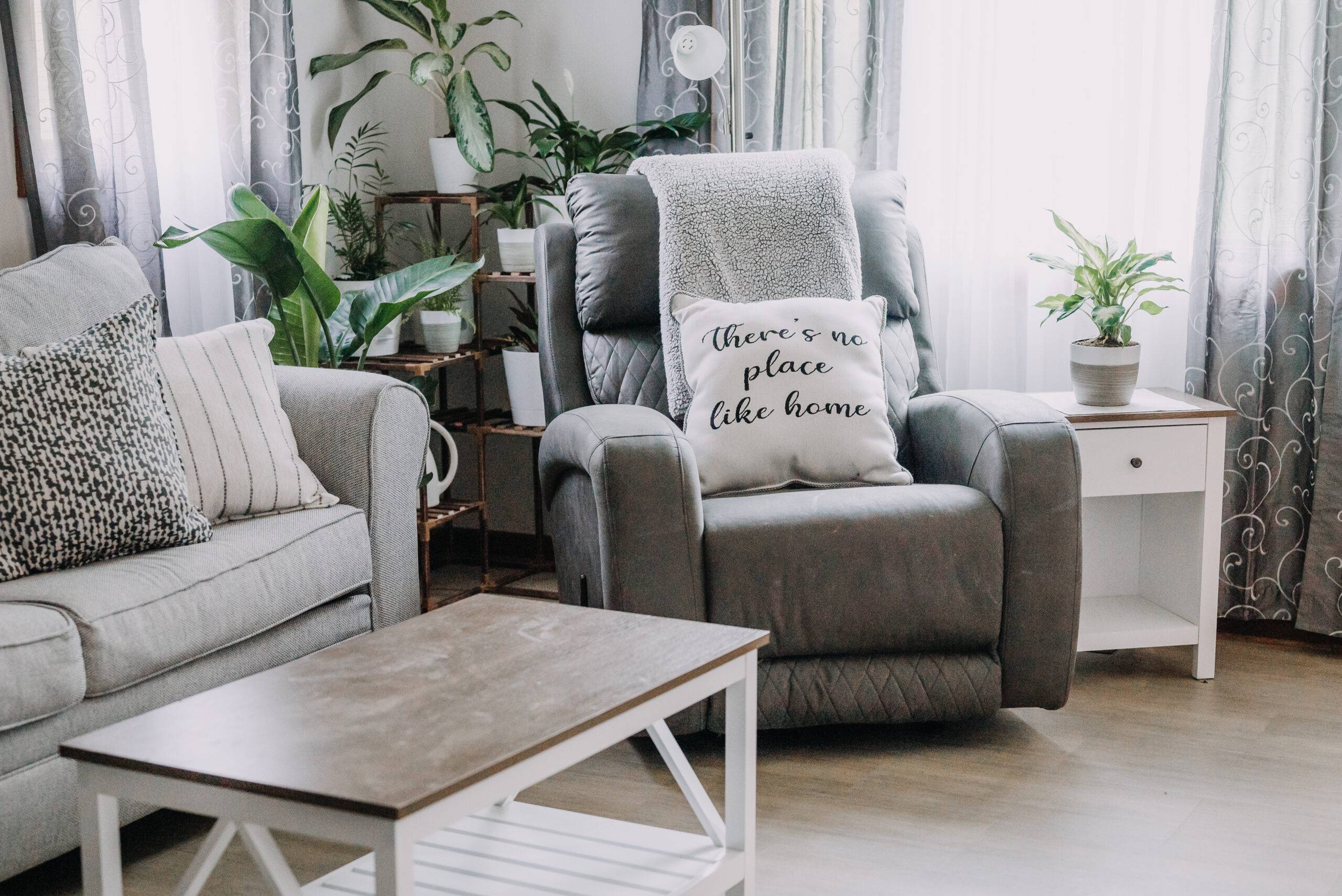 grey-living-room-design-with-plants-2022-10-21-01-40-21-utc-23531-scaled