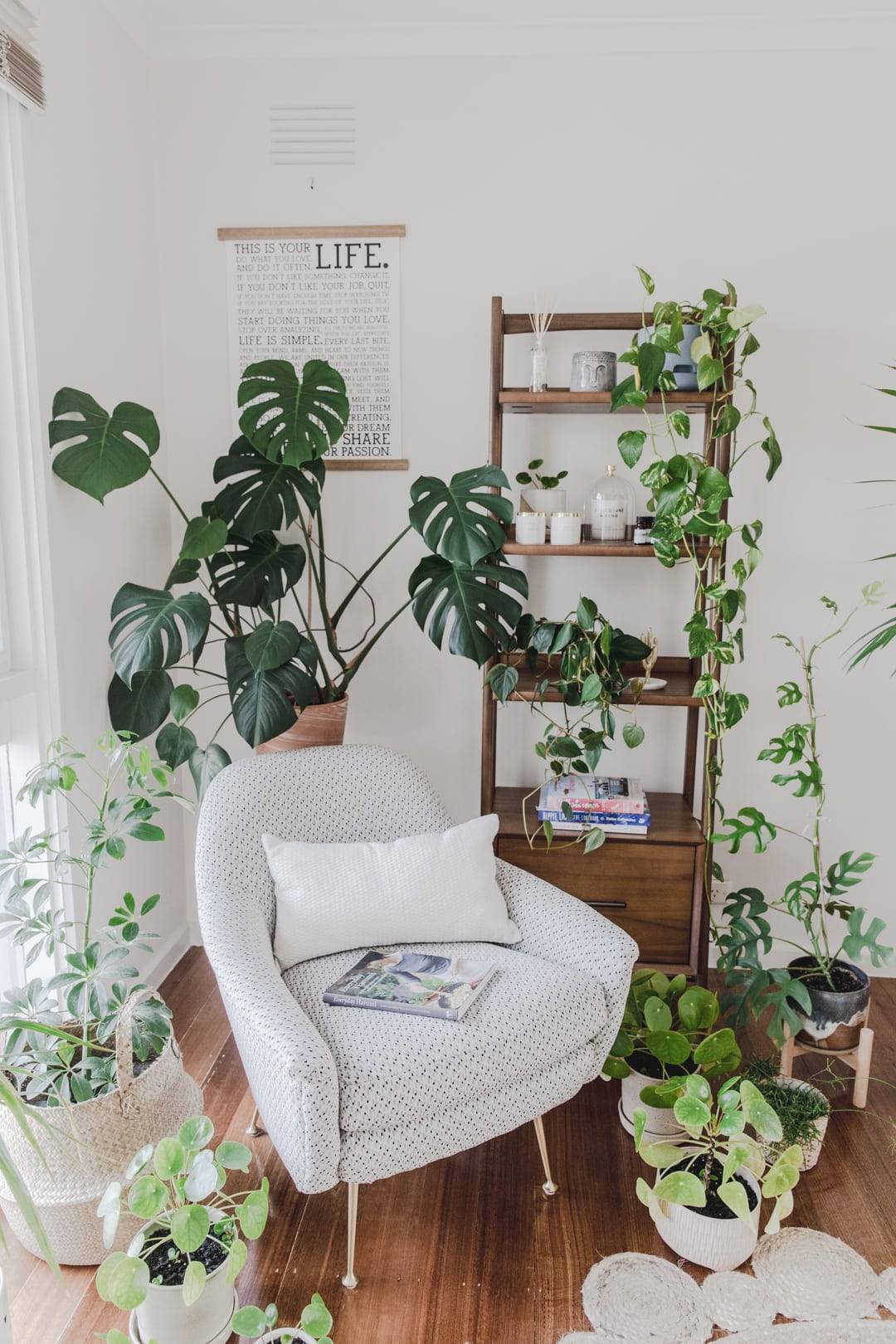 reading-corner-house-plants-room-plant-shelfie-west-elm-mid-century-bookcase-5