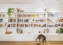 dog walking back wall to wall book shelves