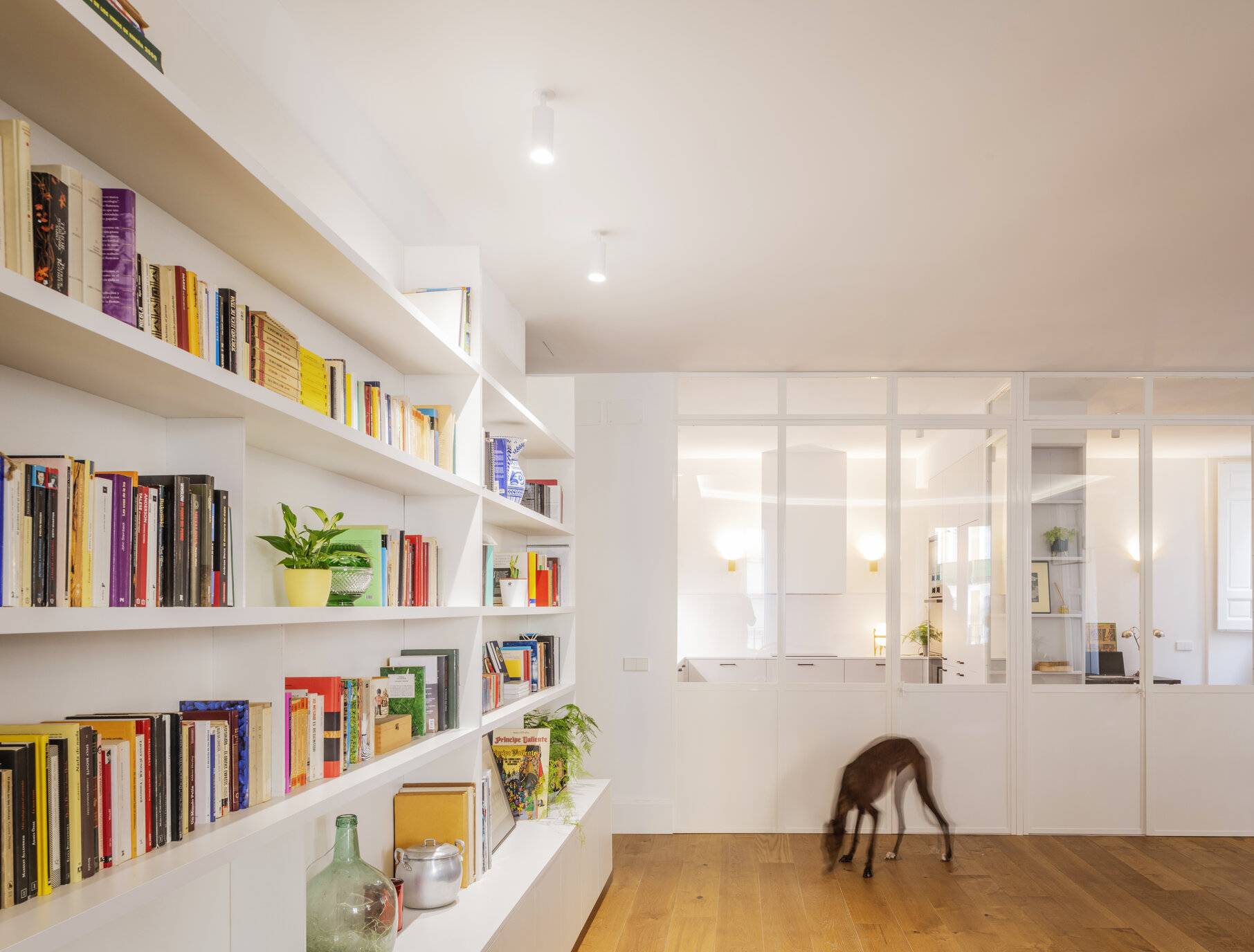 dog walking across wood floors of open living space with wall to wall book shelves