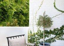 Patio features white brick walls with ivy and a black wooden outdoor chair.