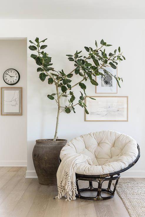 Entry features a black bamboo papasan chair with off white cushion and throw and a tall potted plant.