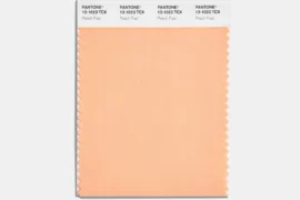 Pantone’s Color of the Year For 2024
