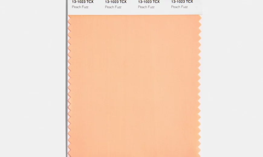 Pantone’s Color of the Year For 2024