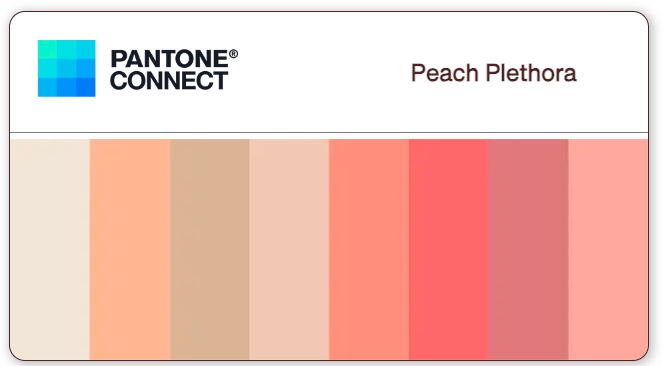 Color palette for Peach Fuzz 13-1023