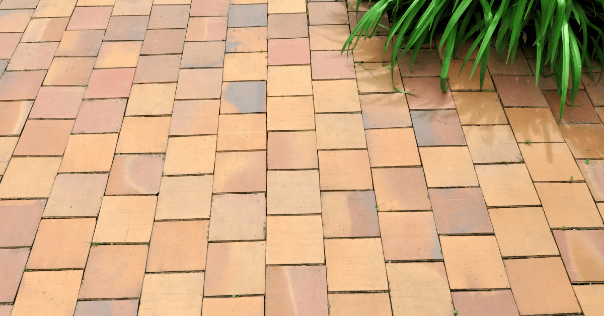 Outdoor terracotta floor tiles.