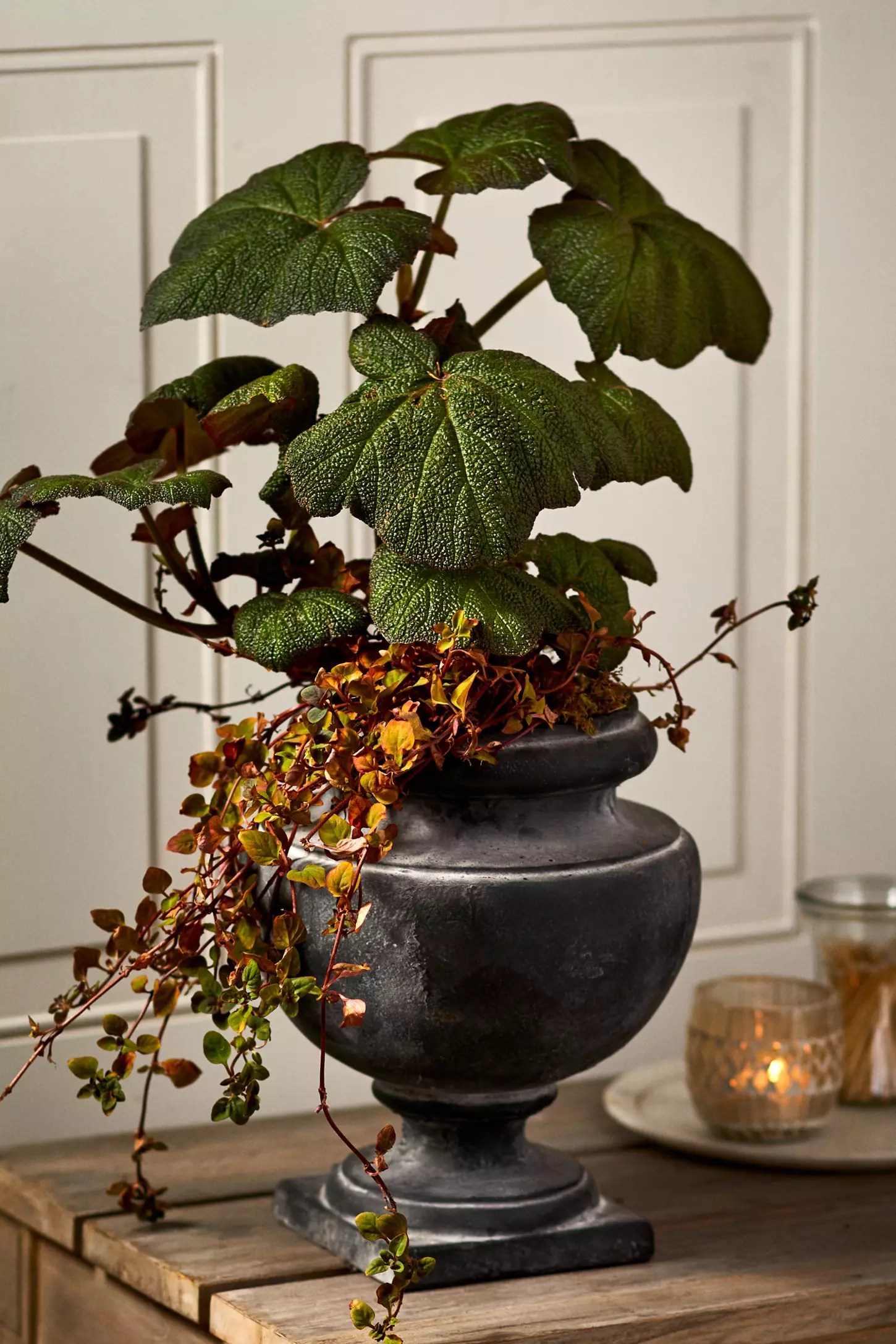 black anthro cast iron planter with greenery product shot