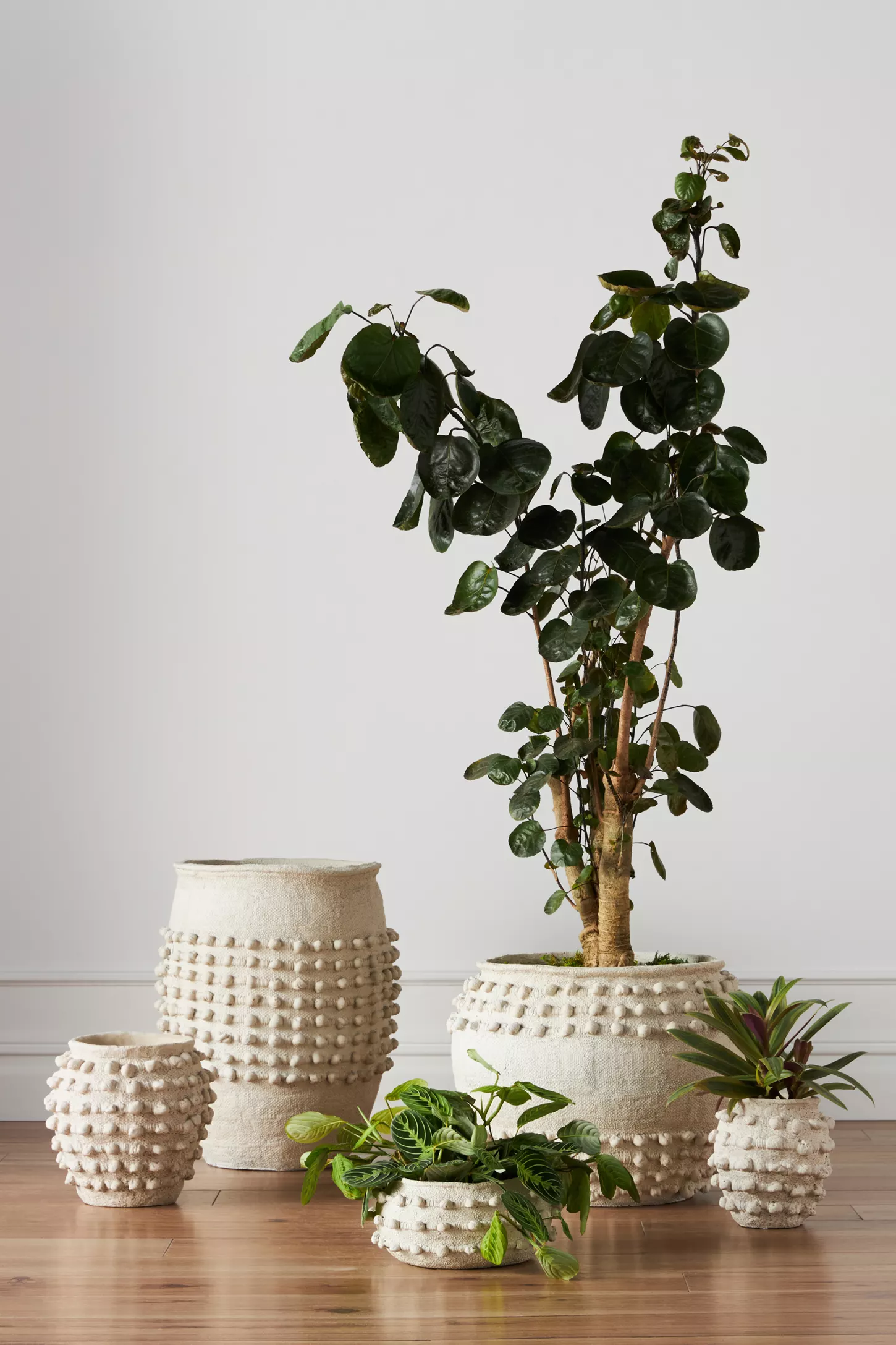 Foto do produto Minka Texturizado Potes com Verdura