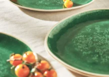 green dinner plates product photo with small orange tomatoes on them