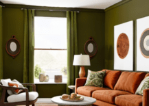 Olive green and rust-colored living room.