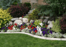 A front yard landscaping with flowers.