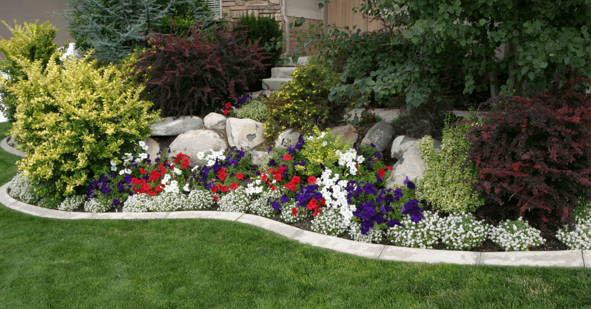 A front yard landscaping with flowers.
