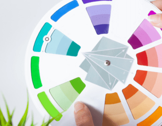 Color Wheel and Opposites - Mastering the Art of Complementary Colors in Design and Decor