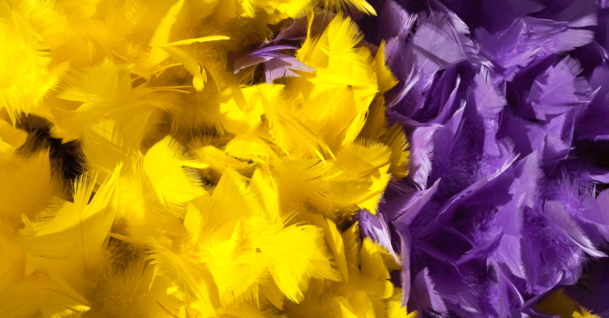 Yellow and purple feathers.