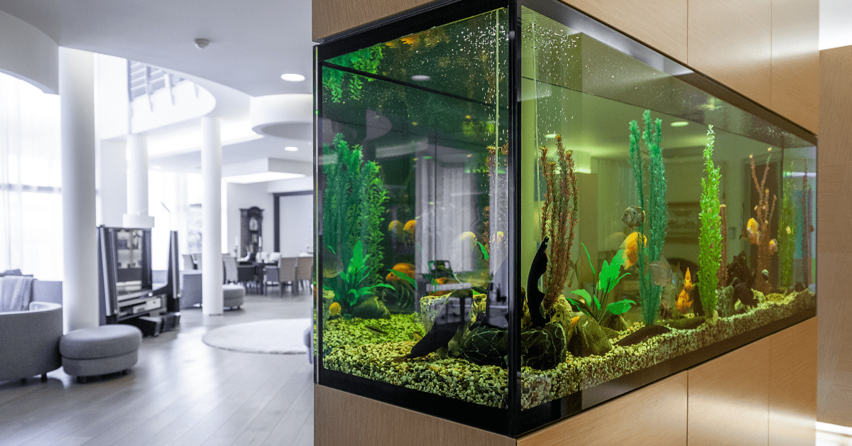Living room with fish tank in the wall.