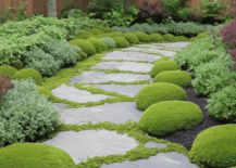 A stone walkway with moss and green plants.
