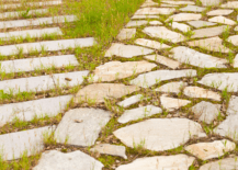A stone walkway with grass growing between stones.