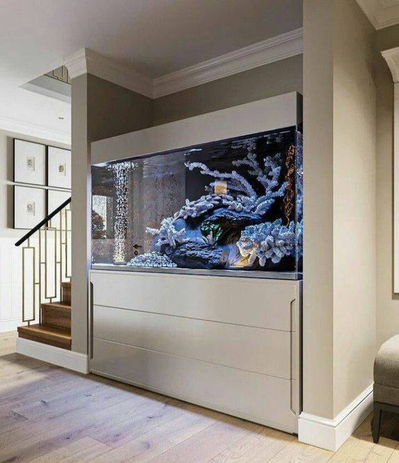 A living room fish tank in the wall.
