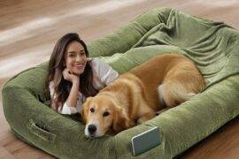 The Ultimate Human Dog Beds for Pawsitive Naps