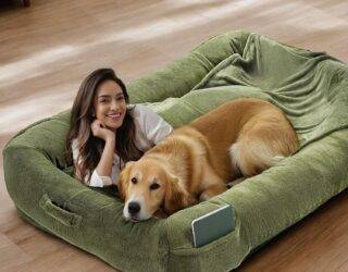 The Ultimate Human Dog Beds for Pawsitive Naps