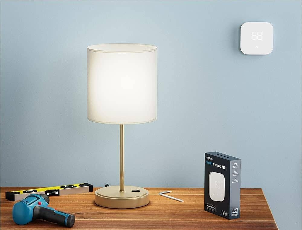 Smart bulbs and thermostat.