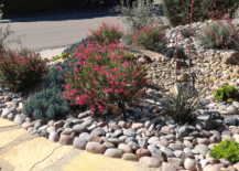 Xeriscape front yard beside the driveway.