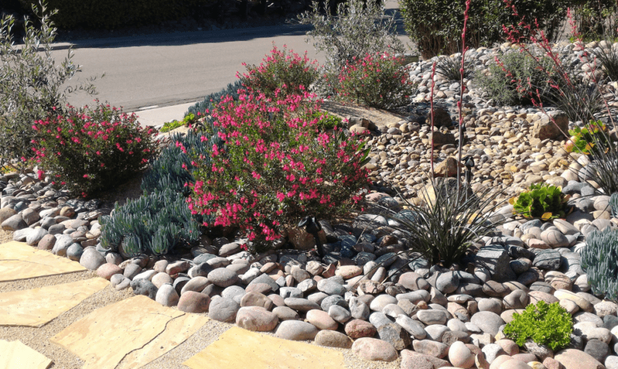 Achieve the Ideal Desert Landscape for Your Front Yard with Xeriscaping