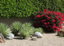 Xeriscaping plants and rocks.